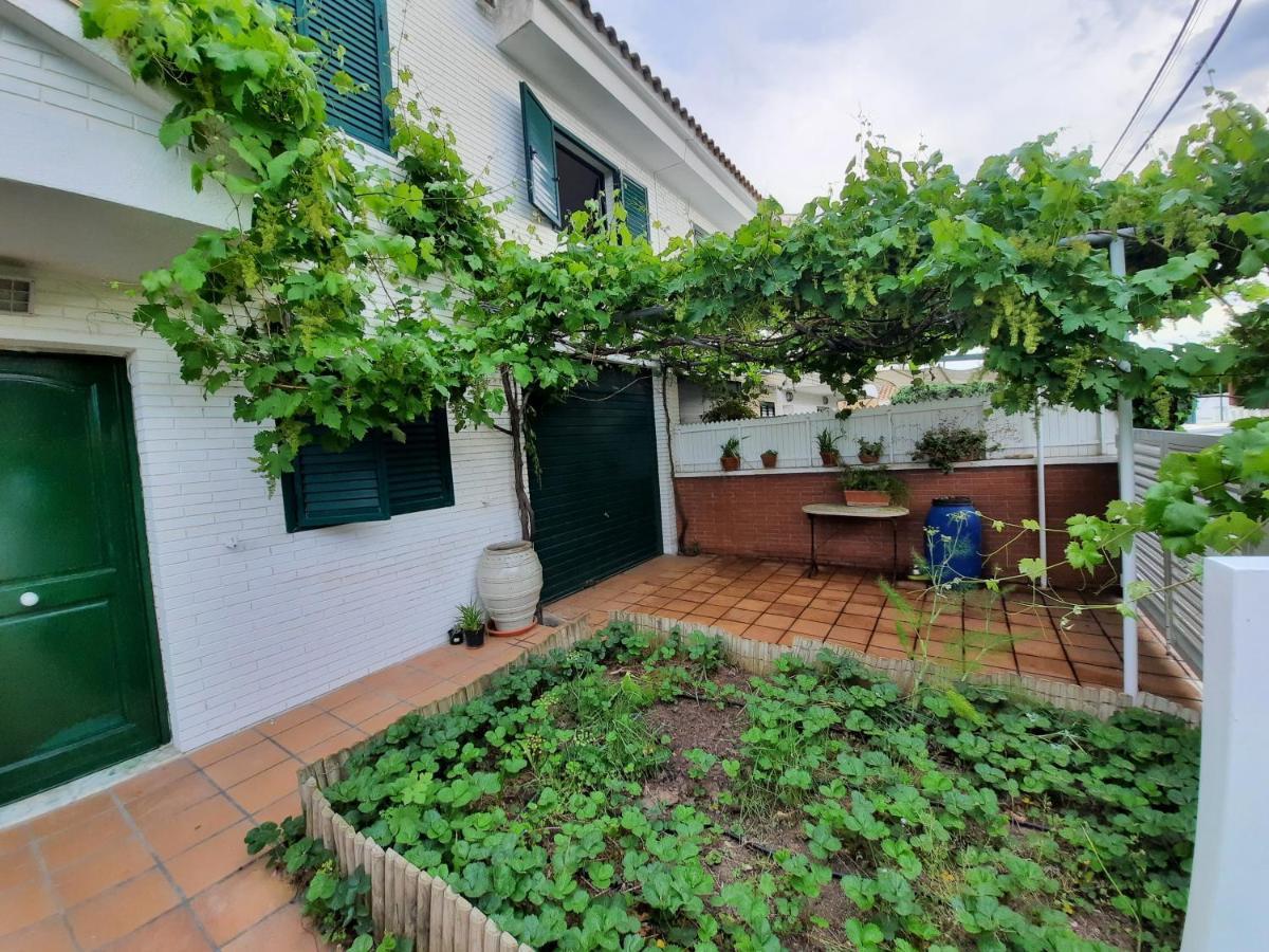 Cosy House With Garden Infront Of The Sea Διαμέρισμα Creixell Εξωτερικό φωτογραφία